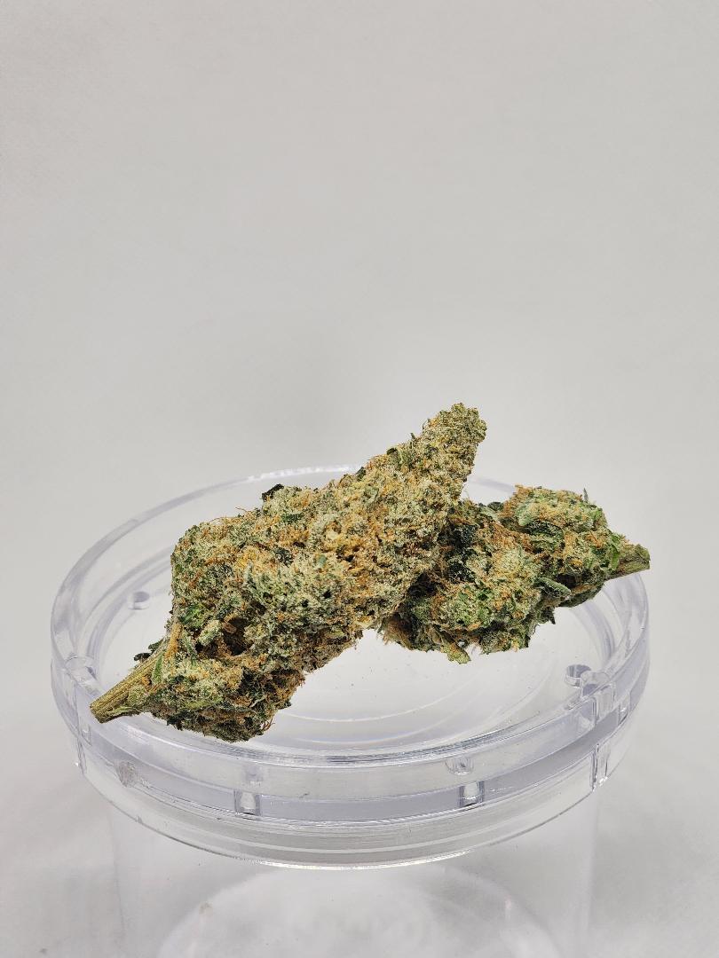 MJ VERDANT | PEANUT BUTTER BREATH BX3 | BULK FLOWER