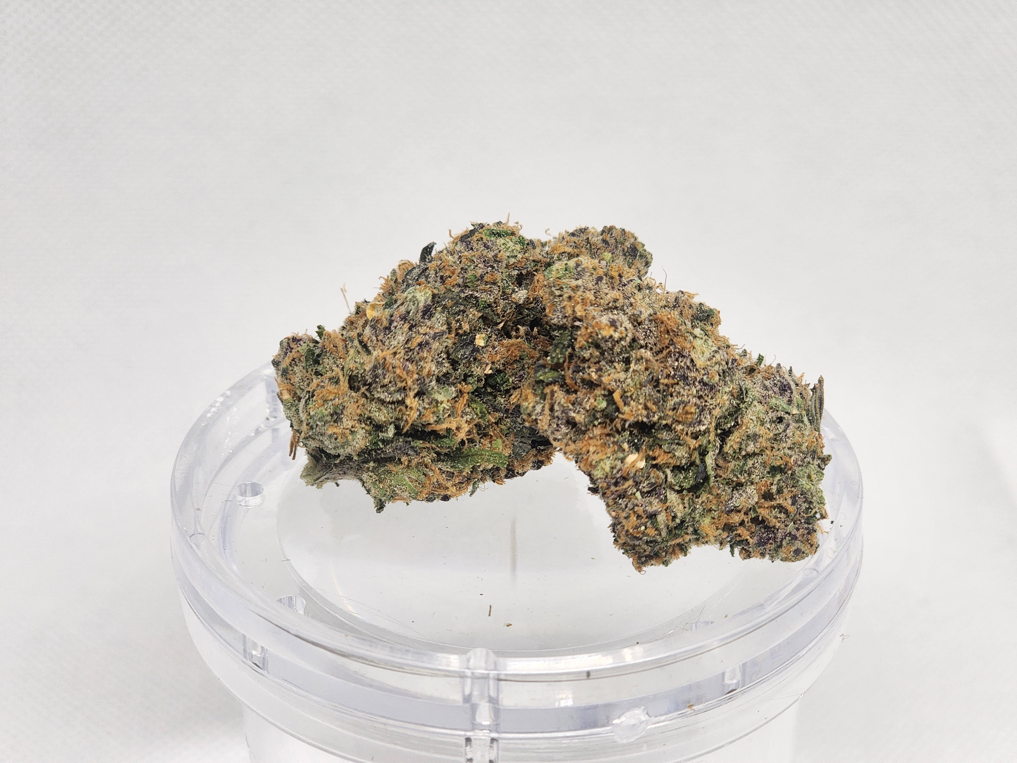 TIP TOP CROP | ZOAP | BULK FLOWER